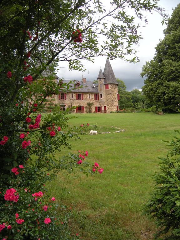 Chateau De Bellefond Lagrauliere Bagian luar foto