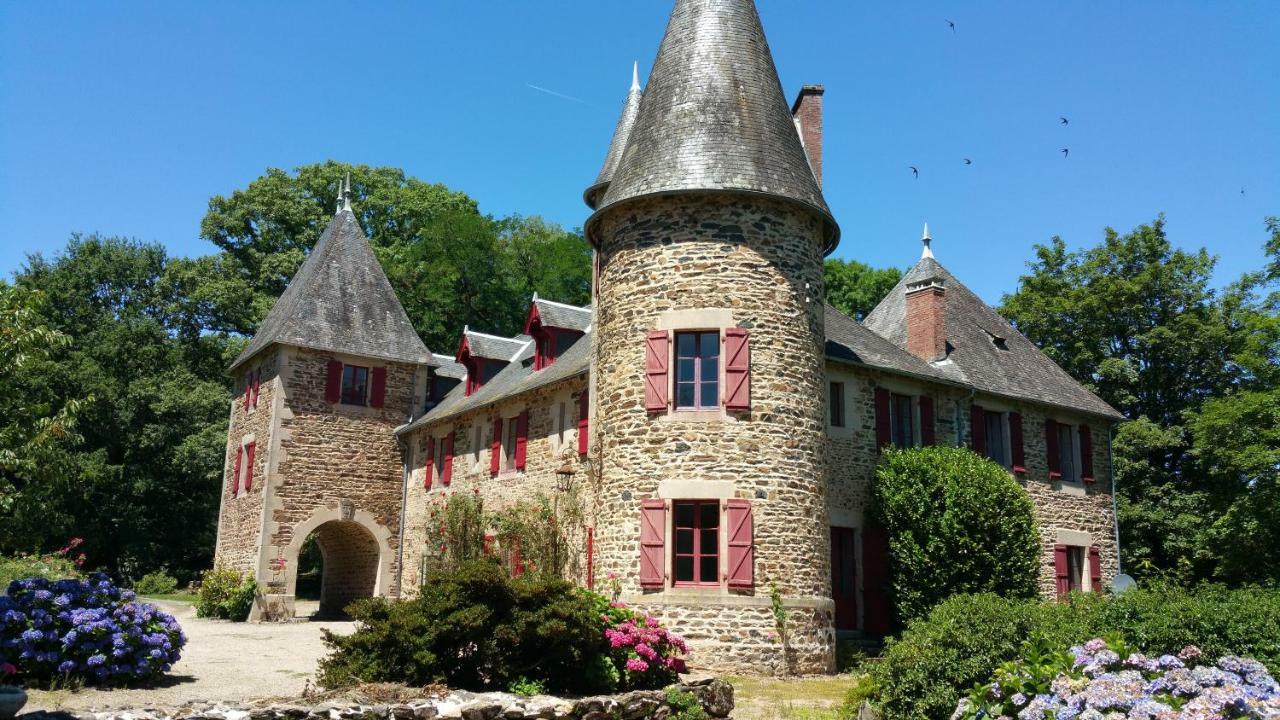 Chateau De Bellefond Lagrauliere Bagian luar foto