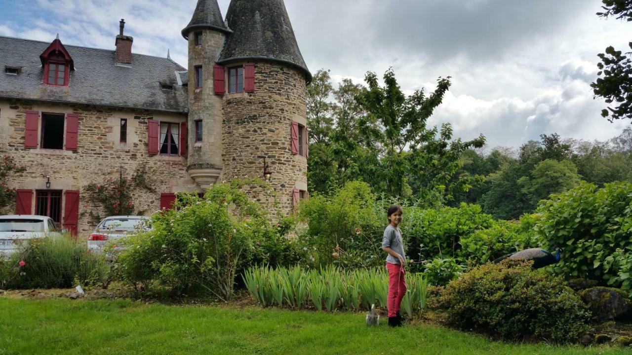 Chateau De Bellefond Lagrauliere Bagian luar foto